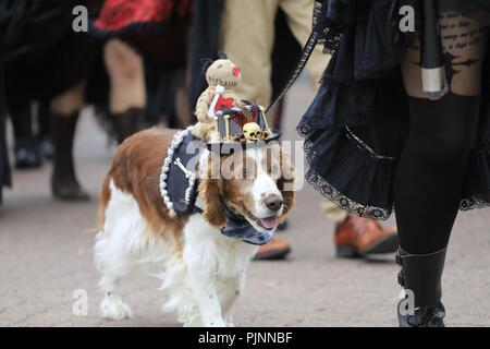 Eastbourne, UK. 8th September 2018.  People enjoy the annual steampunk festival on the seafront today in Eastbourne,East Sussex,Uk Credit: Ed Brown/Alamy Live News Stock Photo