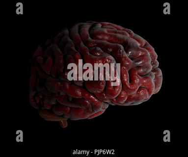 Human brain 3d illustration on black background Stock Photo