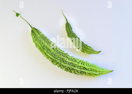 Bitter melon (Momordica charantia), studio shot, cutout, Germany Stock Photo