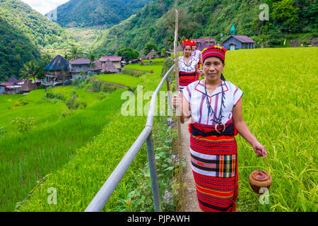 Women from Ifugao Minority near a rice terraces in Banaue the Philippines Stock Photo