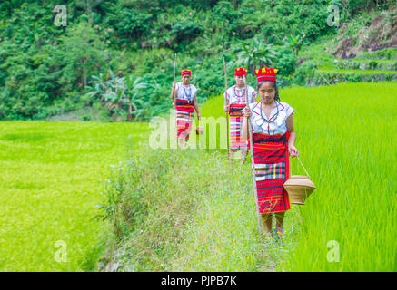 Women from Ifugao Minority near a rice terraces in Banaue the Philippines Stock Photo