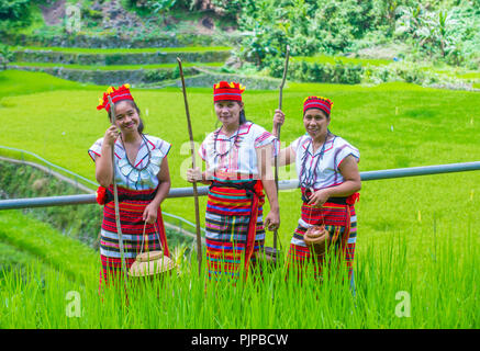 Women from Ifugao Minority near a rice terraces in Banaue the Philippines Stock Photo