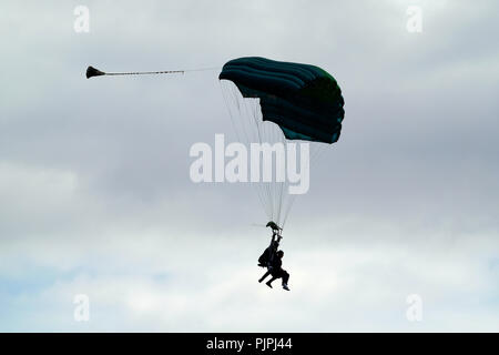 Skydivers under modern parachutes coming in to land on airfield. Stock Photo