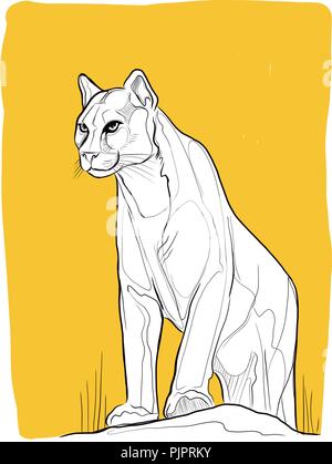 Hand drawn vector ink illustration or drawing of a wild puma Stock Vector