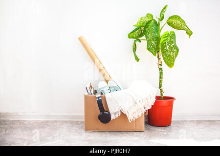 moving, things in boxes, garage sale, flower in a pot. Copy space Stock Photo