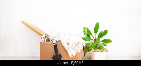 Things to move, box , a flower in a pot. Garage sale and moving concept Copy space Stock Photo