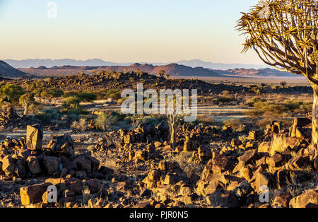 landscape africa namibia rocks quivertree m,orning Stock Photo