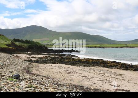 Seaweed on rock platform at Ferriter's cove Stock Photo