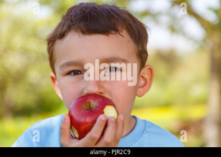 Child kid little boy eating apple fruit outdoor outdoors outside spring nature Stock Photo