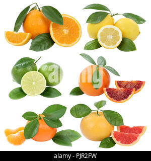 Collection of oranges mandarin lemon grapefruit fruits isolated on a white background Stock Photo