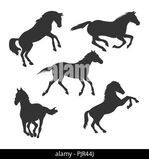 Beautiful Horse Silhouette Vector Graphic Design Template Set Stock Vector