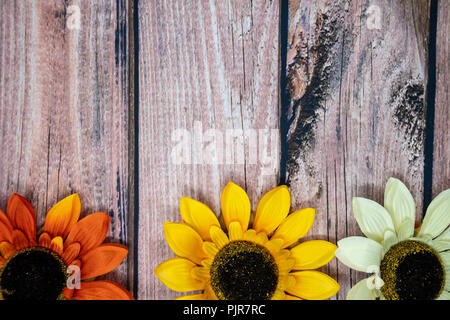 Batch of colorful fall sunflowers on a wooden background. Extra copy space for your text. Orange, yellow and white autumn flowers Stock Photo