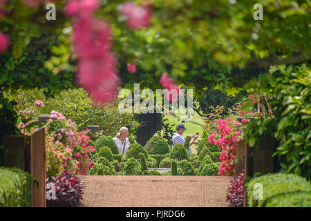 Botanical garden, second year of grammar school Th Palheiro, Funchal, Madeira, Portugal, Botanischer Garten, Quinta do Palheiro Stock Photo