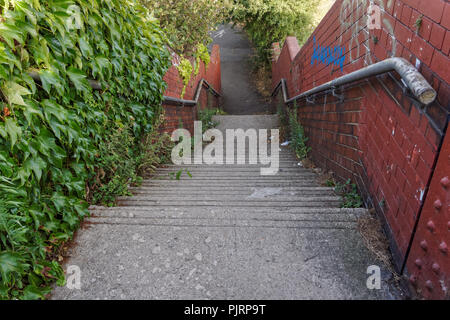 Rail staircase covered in vegetation, UK Stock Photo