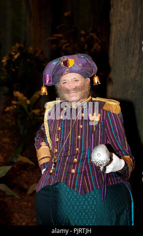 The recording of the new Kabouter Plop movie 'Plop Wordt Kabouterkoning' with special guests Luc Steeno, Willy Sommers and Rob De Nijs (Belgium, 10/11 Stock Photo