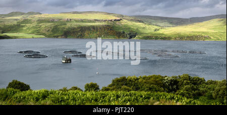 Panorama of Salmon fish farm net pens on Loch Harport with evening sun on Beinn Dhubh from Portnalong Isle of Skye Scotland UK