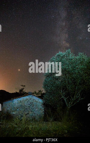 Stars with milky way and shiny star over the watermill and olive tree in front of green plants Stock Photo