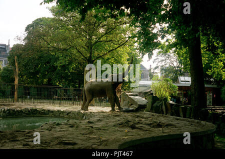 The Antwerp Zoo in the nineties (Belgium, 10/1992) Stock Photo