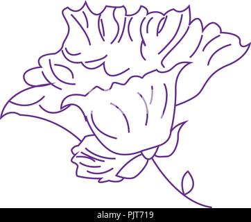 Vector illustration with iris in vintage engraving style. Stock Vector
