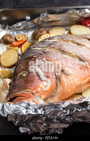 Oven backed  red snapper fish with vegetables,  just from the oven, vertical composition Stock Photo