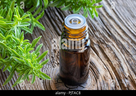 A bottle of mountain savory essential oil with fresh Satureja montana Stock Photo