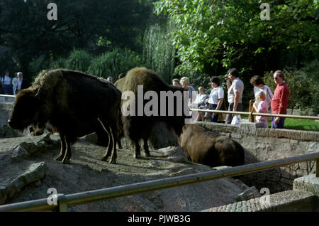 The Antwerp Zoo in the nineties (Belgium, 10/1992) Stock Photo