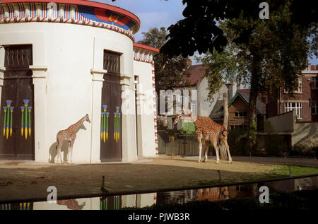 The Antwerp Zoo in the nineties (Belgium, 10/1992) Stock Photo