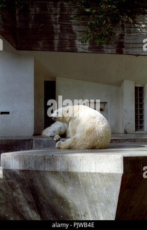 The Antwerp Zoo in the nineties (Belgium, 10/1992) Stock Photo