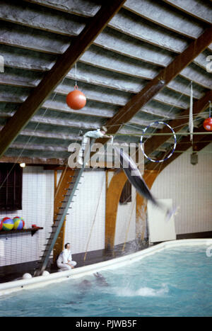 The Antwerp Zoo in the nineties (Belgium, 10/1992) Stock Photo