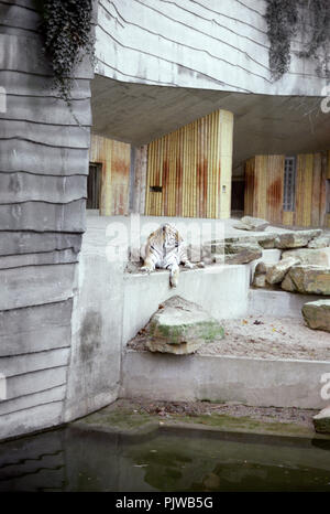 The Antwerp Zoo in the nineties (Belgium, 10/1992) Stock Photo