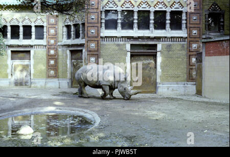 The Antwerp Zoo in the nineties (Belgium, 10/1992) Stock Photo