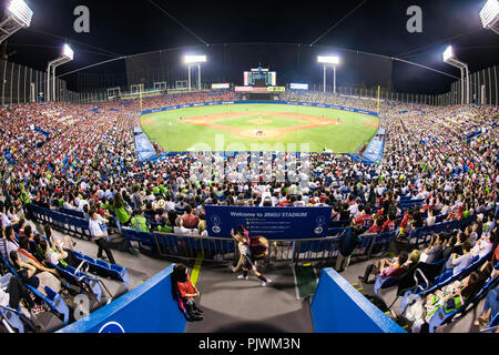 Man and girl at Hanshin Tigers baseball game Koshien stadium, Japan Stock  Photo - Alamy