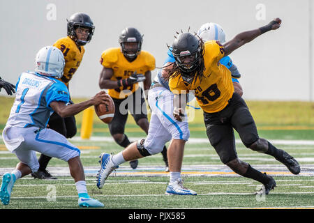 Daytona Beach, FL, USA. 8th Sep, 2018. Bethune Cookman Wildcats linebacker Titus Curry (40) during NCAA Football game between the VUL Dragons and Bethune Cookman Wildcats at Municipal Stadium in Daytona Beach, Fl. Romeo T Guzman/CSM/Alamy Live News Stock Photo