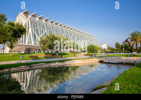 The science museum seen from the Turia gardens in the City of Arts and Sciences in Valencia, Spain Stock Photo