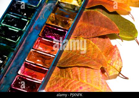 Beautiful and very colorful leaves of an autumn tree lie under a palette of oil paint. A beautiful and colorful abstraction is created. Stock Photo