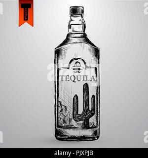 Bottle of tequila with lime and glass. painted by hand Stock Vector