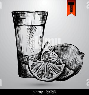 Bottle of tequila with lime and glass. painted by hand Stock Vector