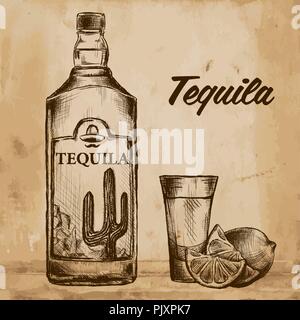 Bottle of tequila with lime and glass. painted by hand Stock Vector