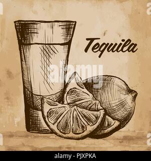 Bottle of tequila with lime and glass. painted by hand Stock Vector