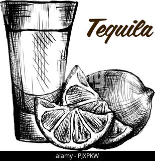 Bottle of tequila with lime and glass. painted by hand Stock Vector