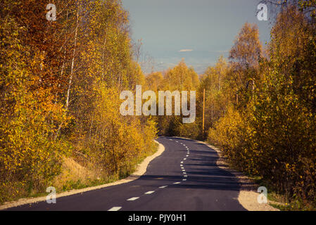 Empty road leading through fall foliage forest in the autumn Stock Photo