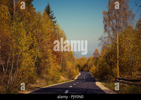 Empty road leading through fall foliage forest in the autumn Stock Photo