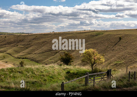 View of Wiltshire Countryside from the top of Westbury White Horse, Westbury, Wiltshire, England, UK Stock Photo