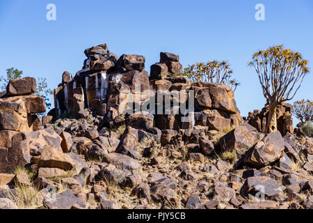 giants playground namibia quivertree summer Stock Photo