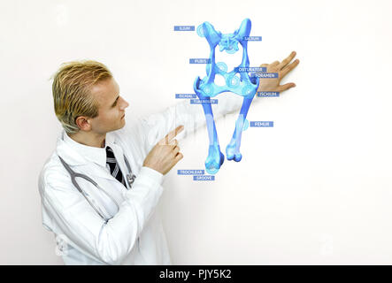 Smart health care internet of things and  augmented reality education , Artificial intelligence bone bone structure technology concept. Doctor using h Stock Photo