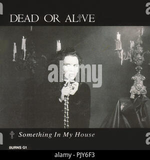 Dead or Alive - Something In My House - Vintage 7'' inches record