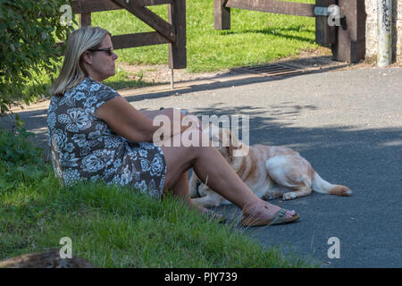 woman walking a golden Labrador dog sitting on a kerb or verge taking at rest at the side of the pavement or road. Stock Photo