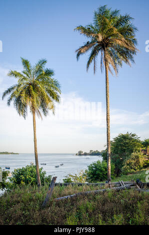 Scenic view over palm trees on tropical island Bubaque, part of the Bijagos Archipelago, Guinea Bissau, Africa. Stock Photo