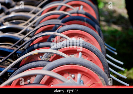 tractor sows corn in spring Stock Photo