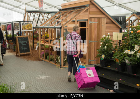 Woman with shopping crate pausing to look at plant stall display, alpines in greenhouse beyond - RHS Chatsworth Flower Show, Derbyshire, England, UK Stock Photo